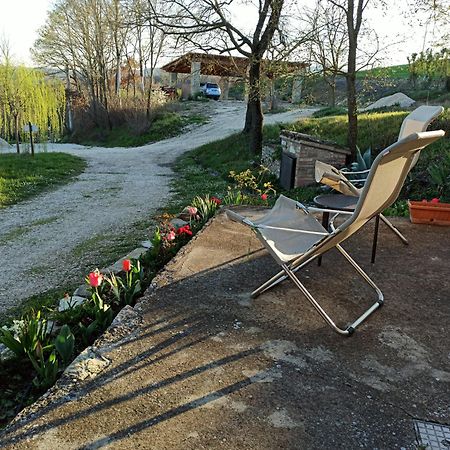 Agriturismo Casa Greppo San Venanzo Exteriör bild