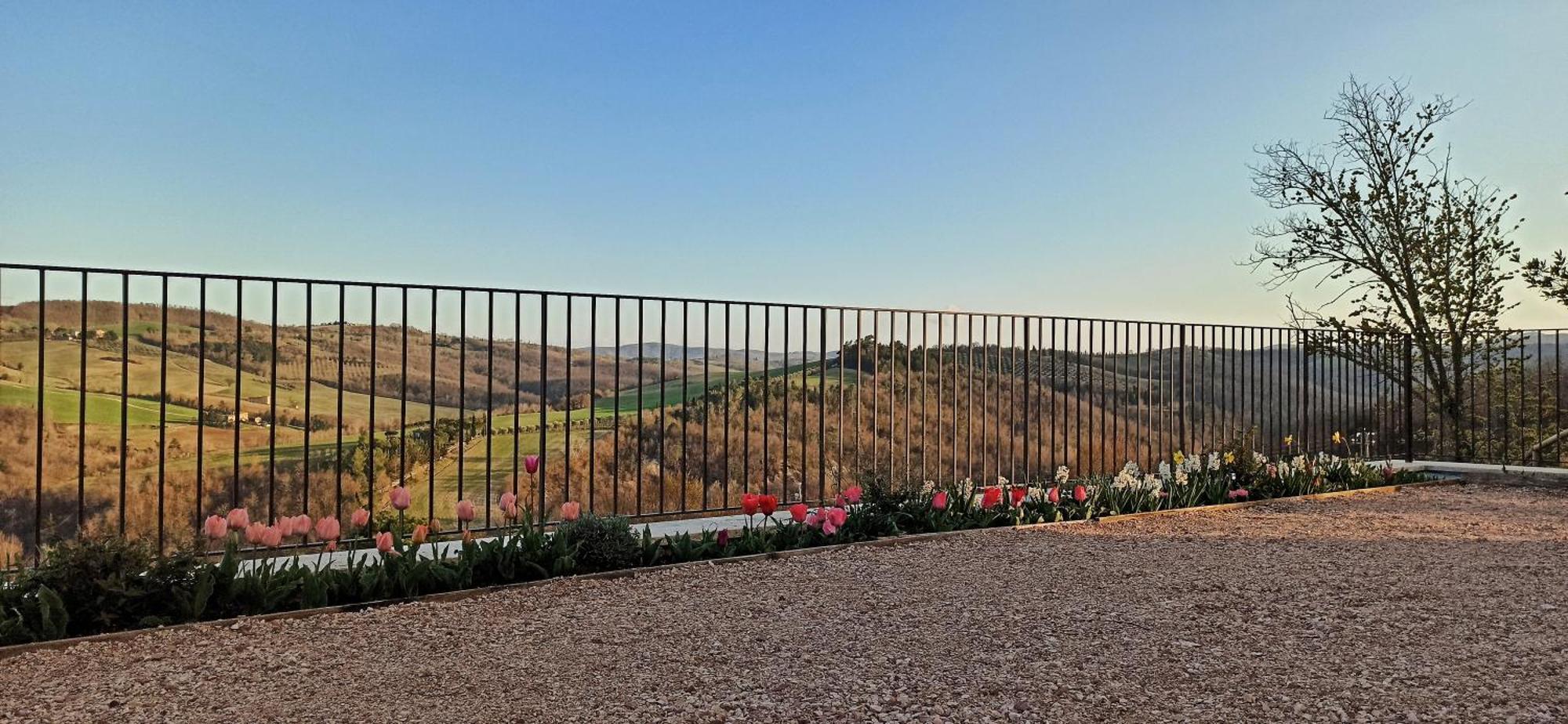 Agriturismo Casa Greppo San Venanzo Exteriör bild