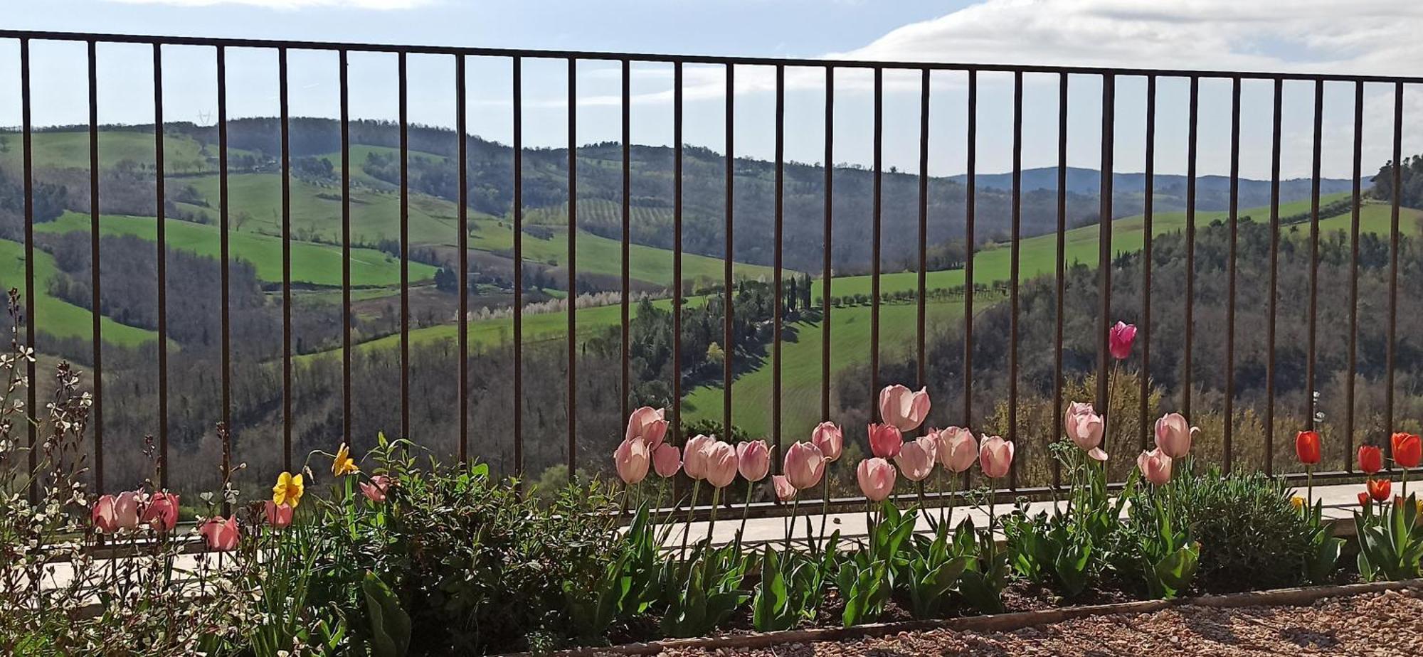 Agriturismo Casa Greppo San Venanzo Exteriör bild