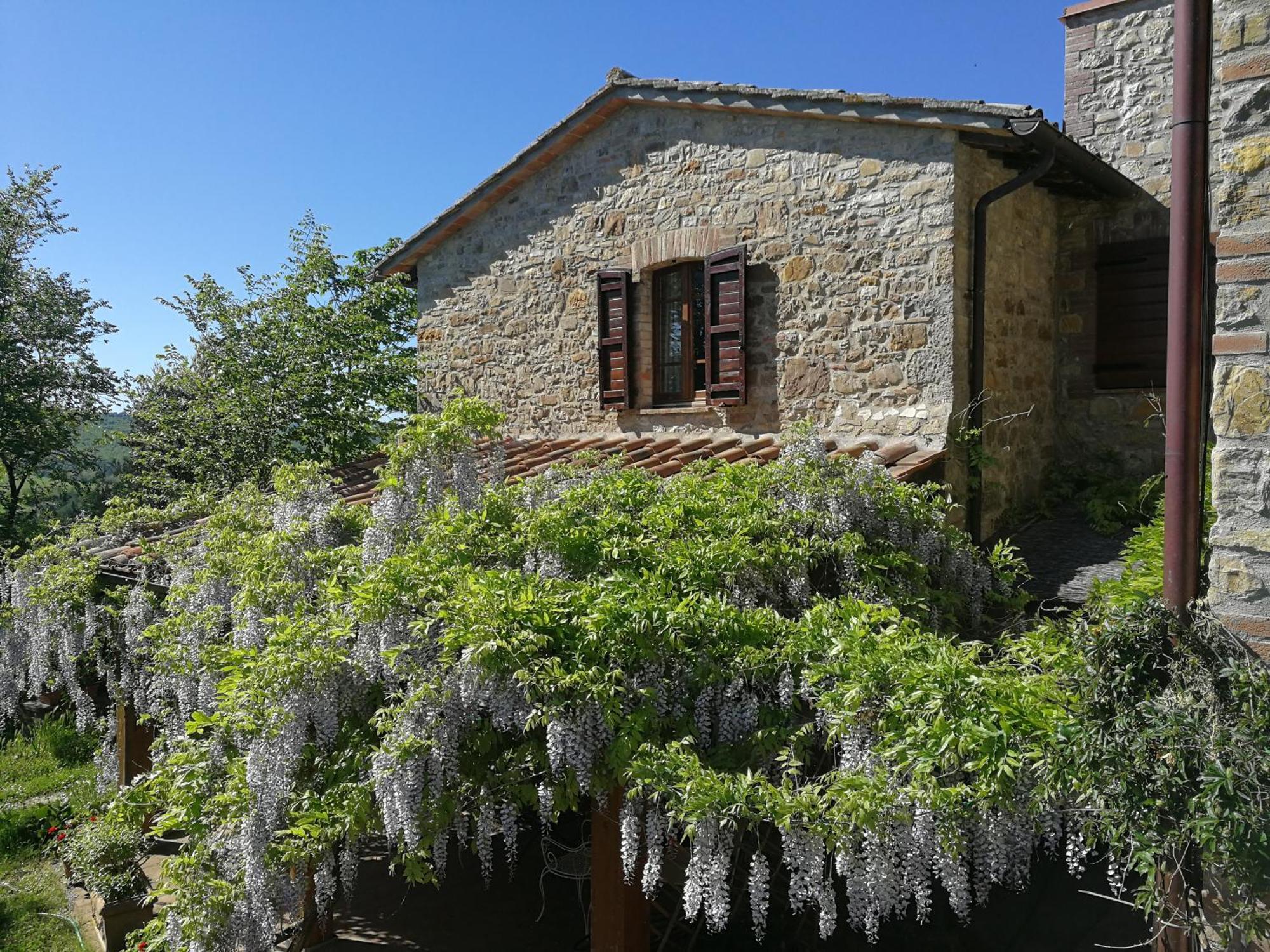 Agriturismo Casa Greppo San Venanzo Exteriör bild