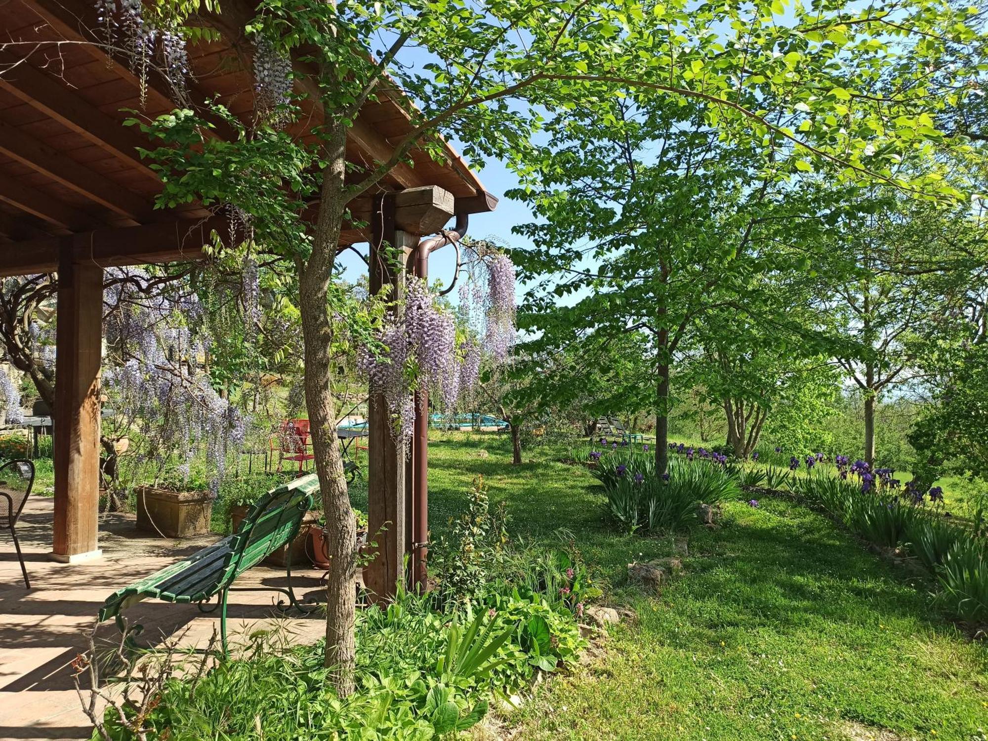 Agriturismo Casa Greppo San Venanzo Exteriör bild