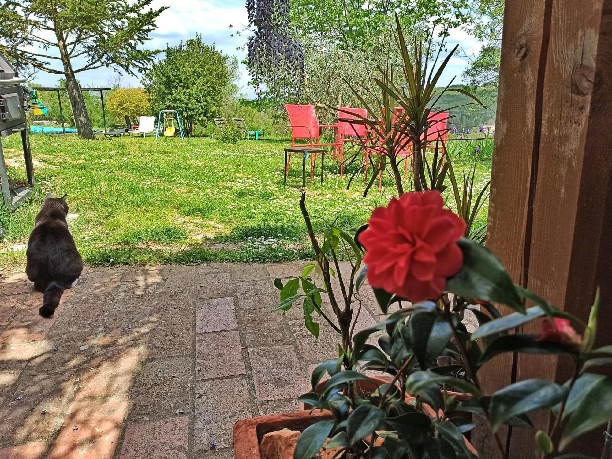 Agriturismo Casa Greppo San Venanzo Exteriör bild