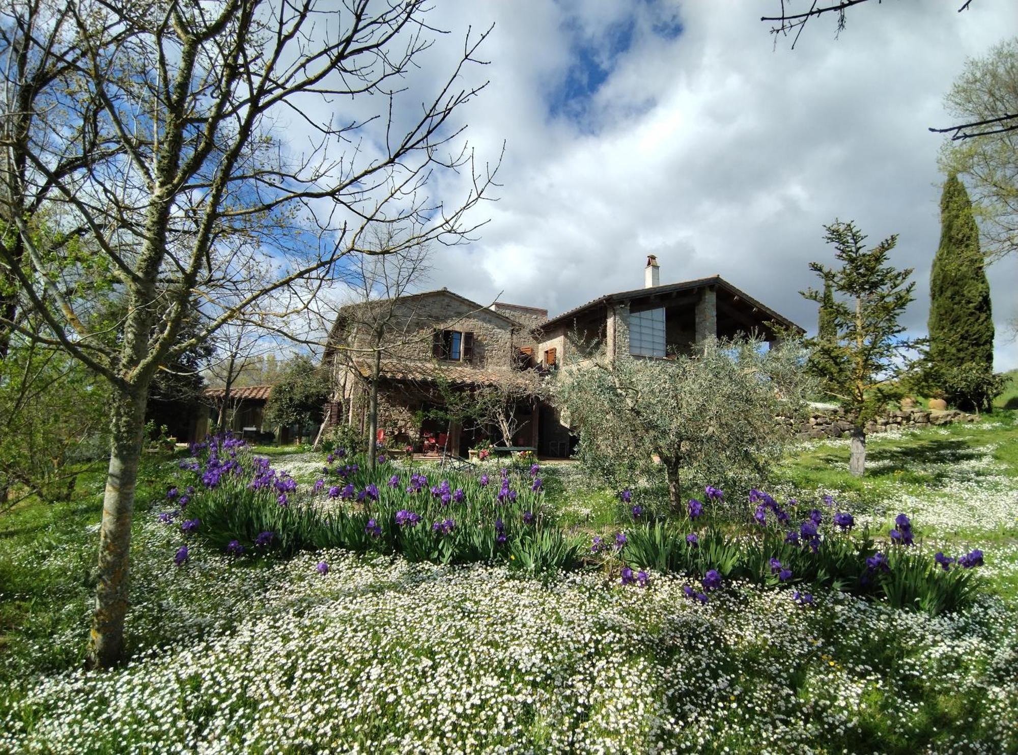 Agriturismo Casa Greppo San Venanzo Exteriör bild