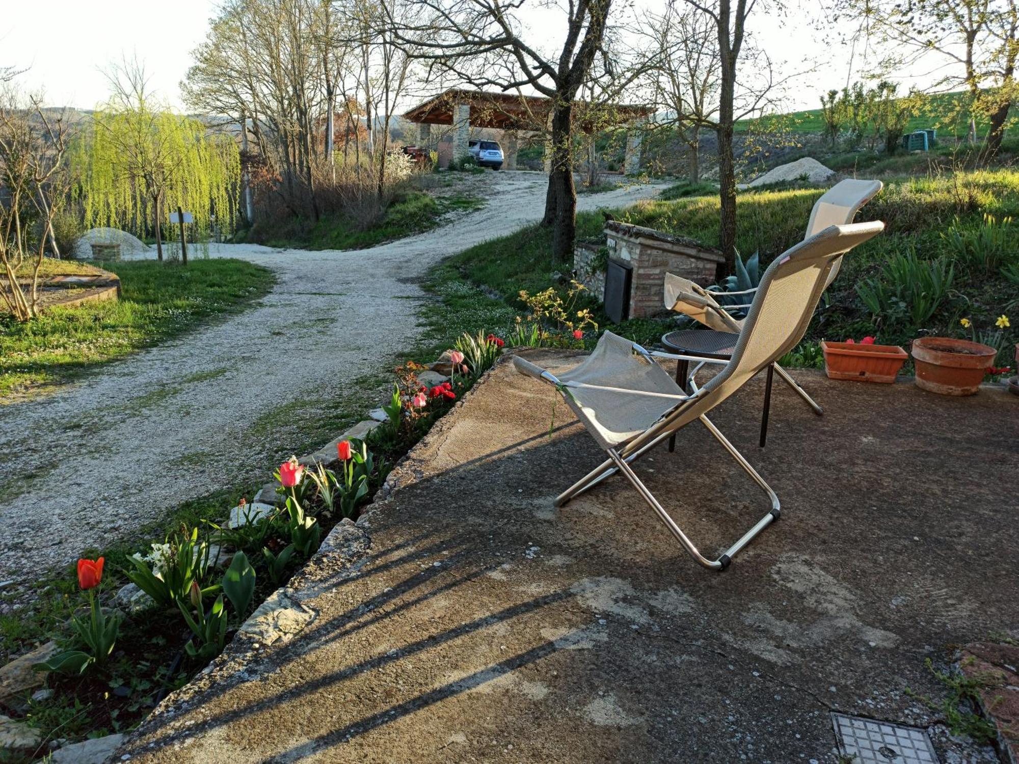 Agriturismo Casa Greppo San Venanzo Exteriör bild