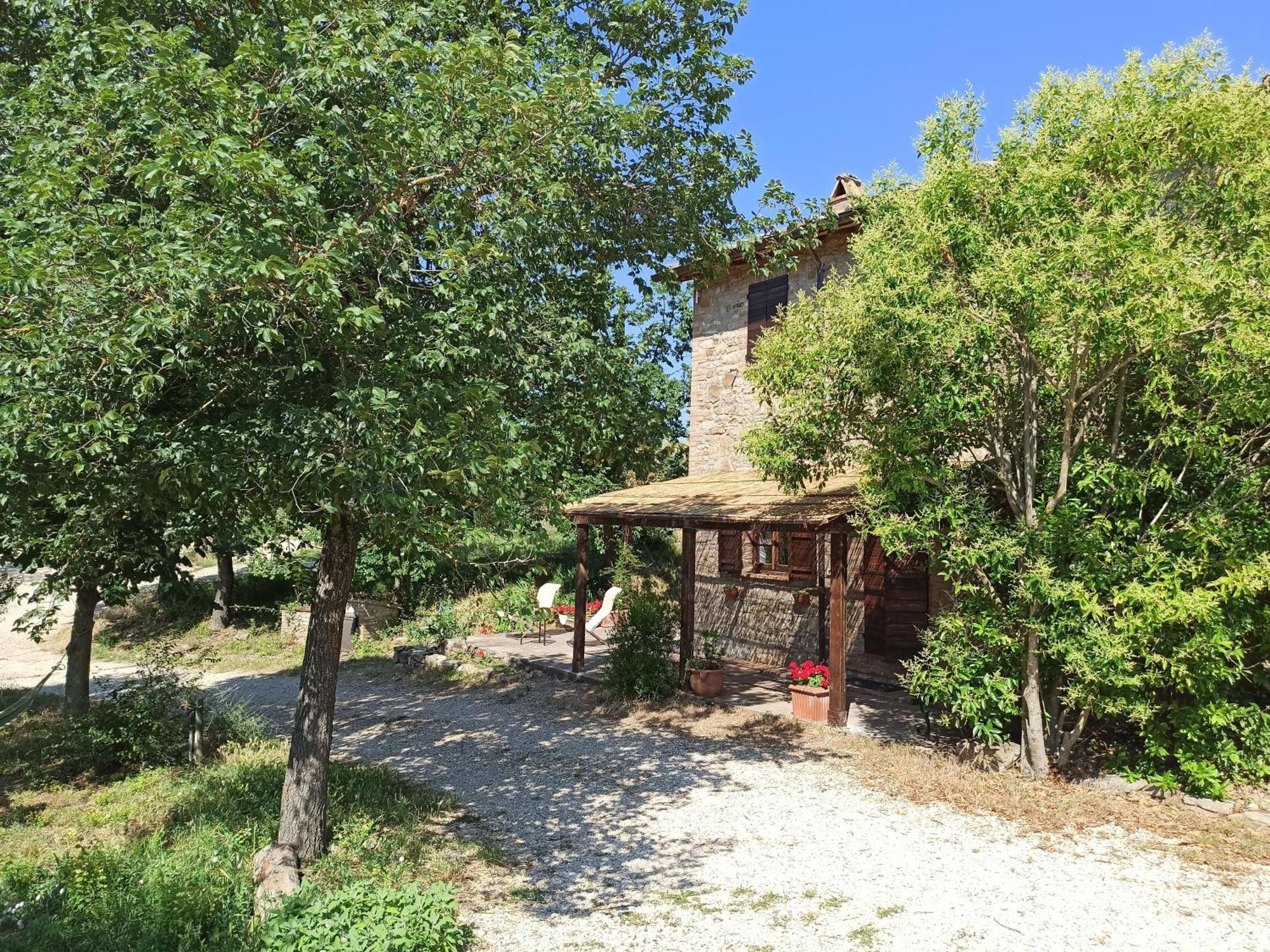 Agriturismo Casa Greppo San Venanzo Exteriör bild